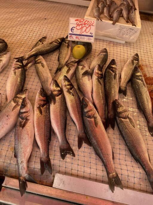 Casa Del Pescatore Di Ortigia Syracuse ภายนอก รูปภาพ
